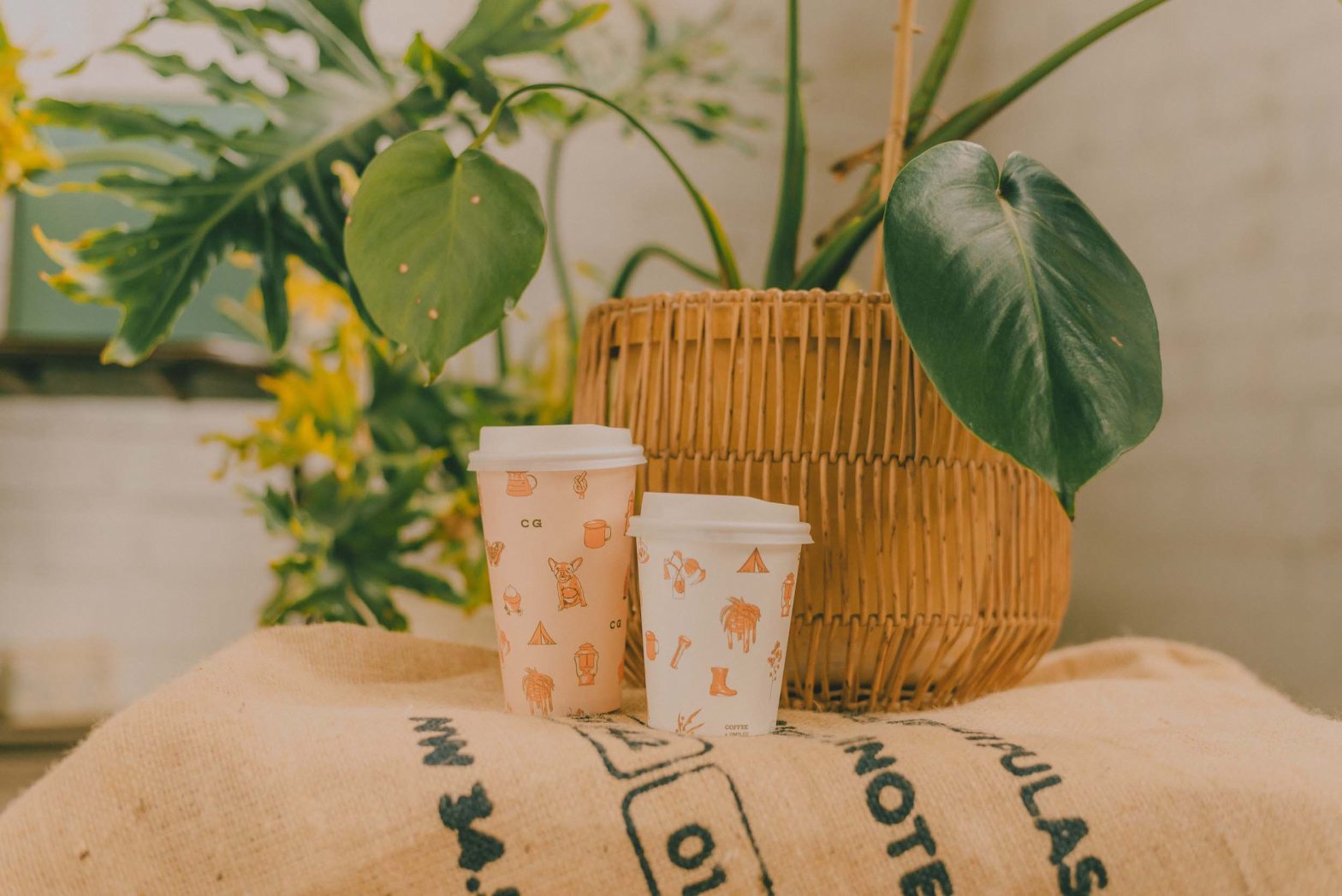 Gunnedah Coffee Shop Camp Grounds Specialty Coffee Shop Tamworth