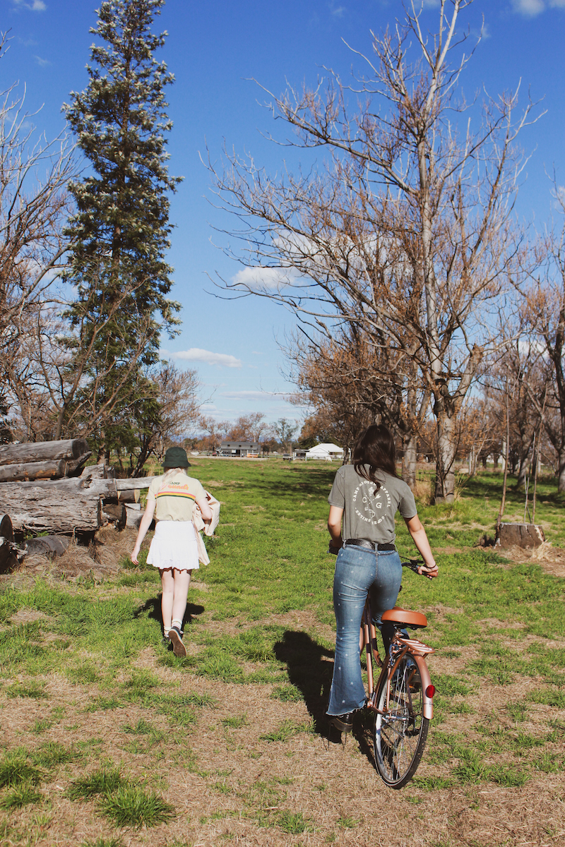 Gunnedah Coffee Shop Camp Grounds Specialty Coffee Shop Tamworth