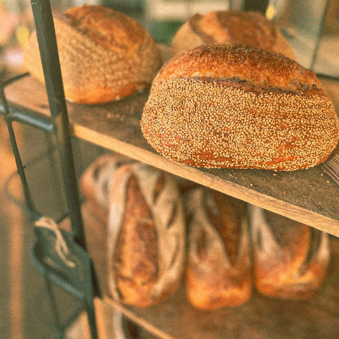 Gunnedah Coffee Shop Camp Grounds Specialty Coffee Shop Tamworth